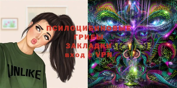 сатива Арсеньев