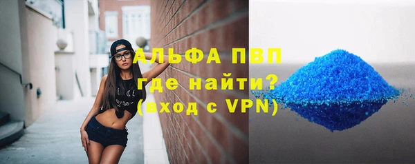 сатива Арсеньев