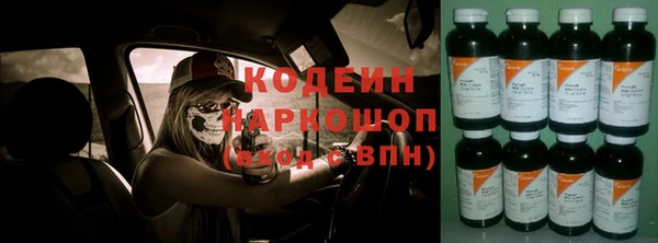 сатива Арсеньев