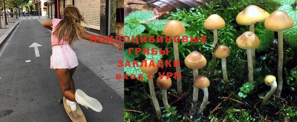 сатива Арсеньев